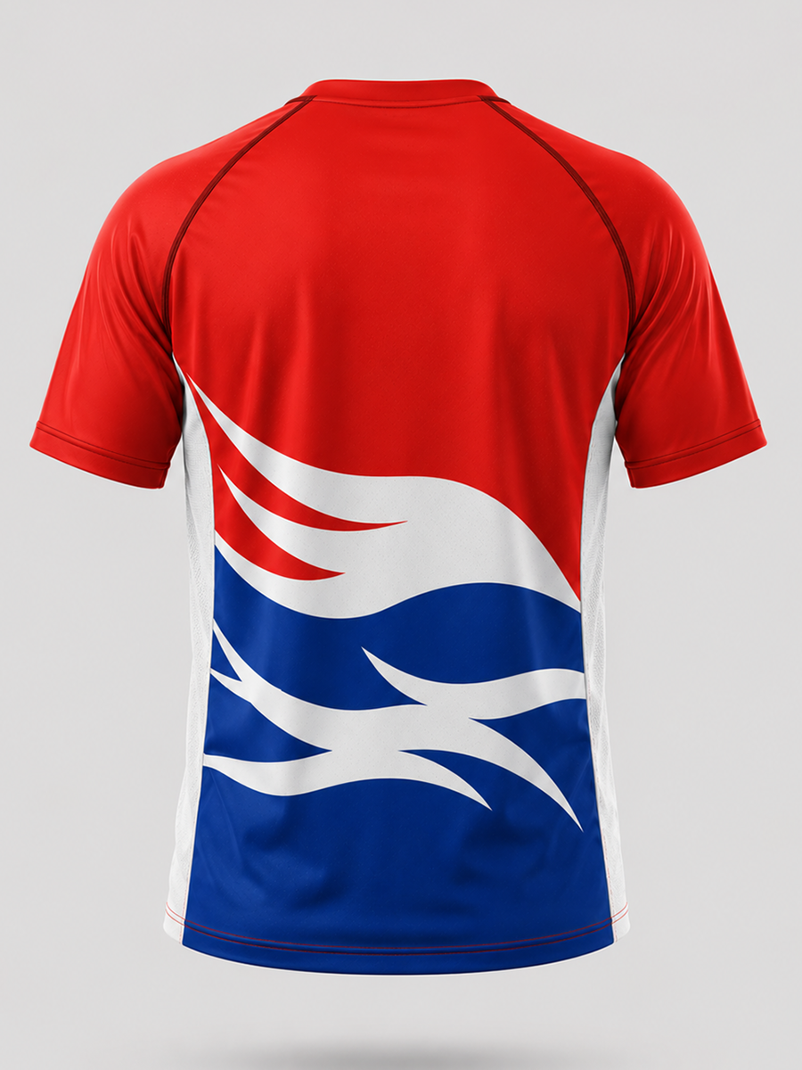 Raglan Shirts back view